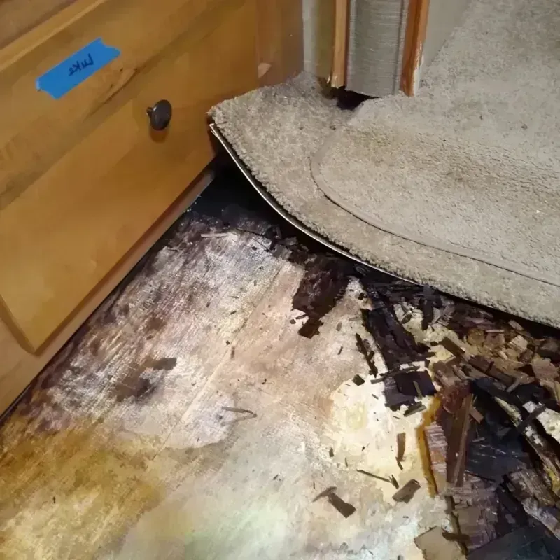 Wood Floor Water Damage in Richland County, IL